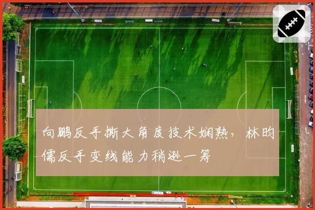 向鹏反手撕大角度技术娴熟，林昀儒反手变线能力稍逊一筹